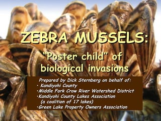 ZEBRA MUSSELS:
  “Poster child” of
  biological invasions
  Prepared by Dick Sternberg on behalf of:
 • Kandiyohi County
 •Middle Fork Crow River Watershed District
 •Kandiyohi County Lakes Association
   (a coalition of 17 lakes)
 •Green Lake Property Owners Association
 