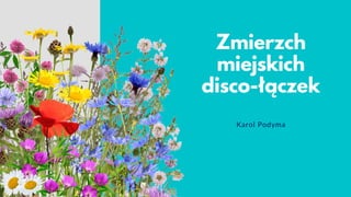 Zmierzch
miejskich
disco-łączek
Karol Podyma
 
