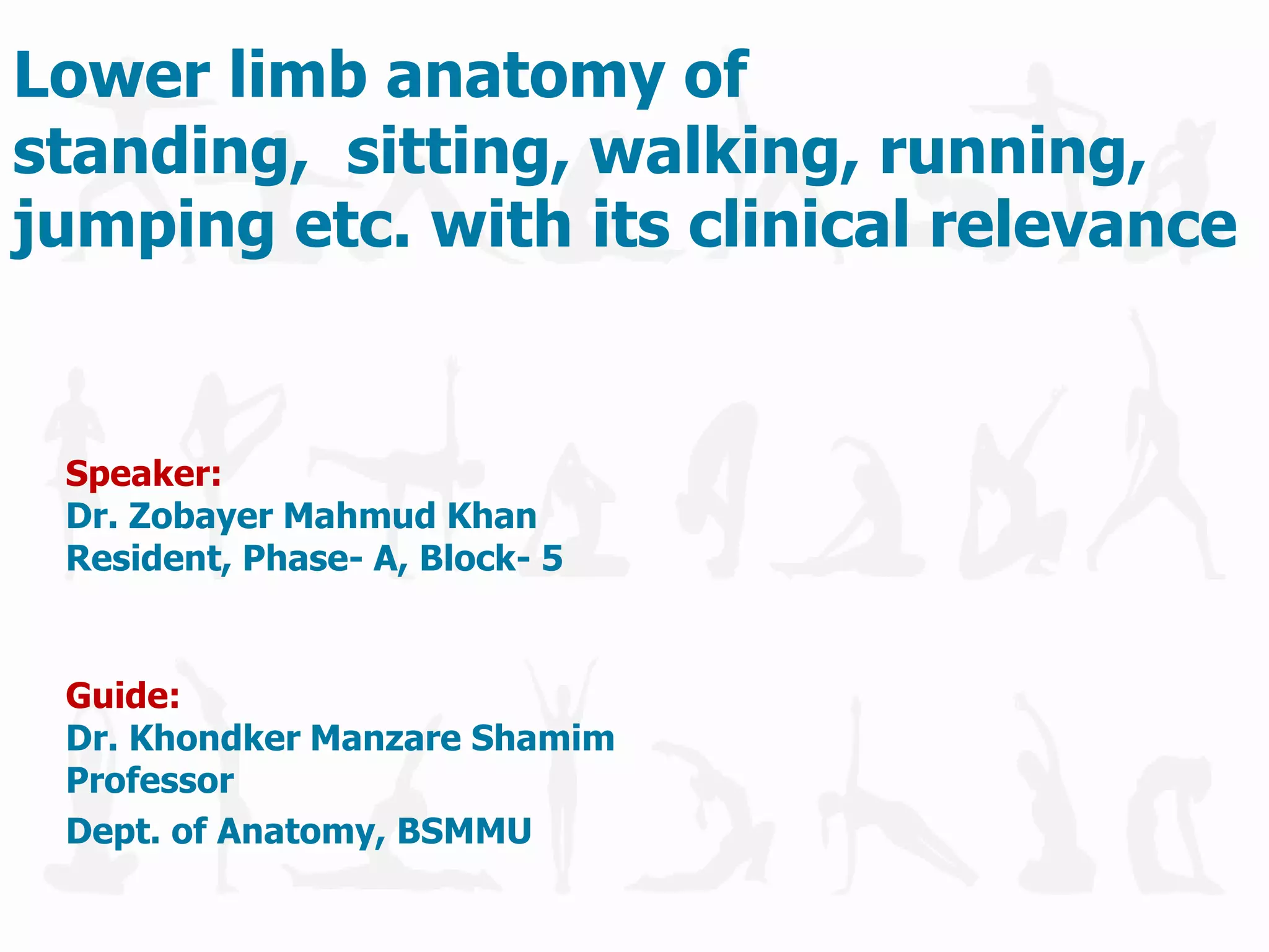 Lower limb anatomy of standing, sitting, walking, running, jumping etc ...