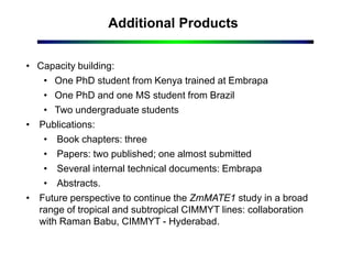 Additional Products
• Capacity building:
• One PhD student from Kenya trained at Embrapa
• One PhD and one MS student from Brazil
• Two undergraduate students
• Publications:
• Book chapters: three
• Papers: two published; one almost submitted
• Several internal technical documents: Embrapa
• Abstracts.
• Future perspective to continue the ZmMATE1 study in a broad
range of tropical and subtropical CIMMYT lines: collaboration
with Raman Babu, CIMMYT - Hyderabad.
 