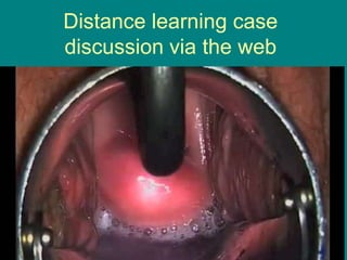 Distance learning case
discussion via the web
 