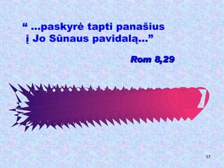 “  ...paskyrė tapti panašius į Jo Sūnaus pavidalą...” Rom 8,29 