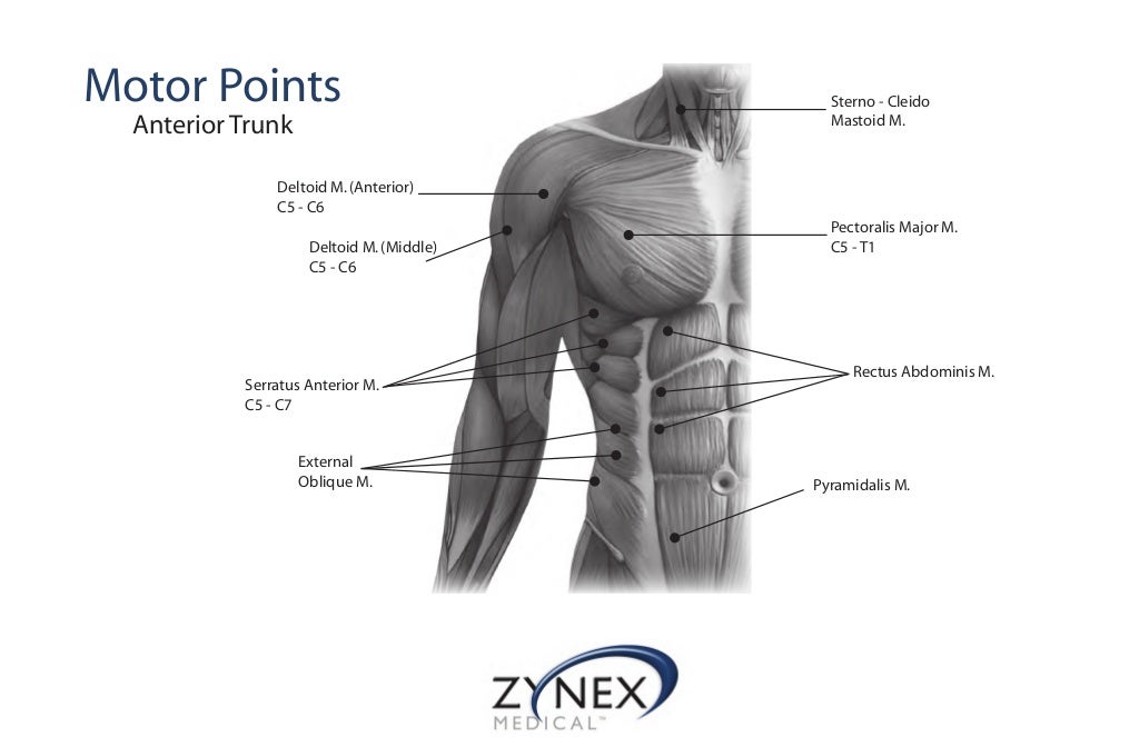 ZMPCZM016000.12.16 Electrode placement & Protocol Guidelines