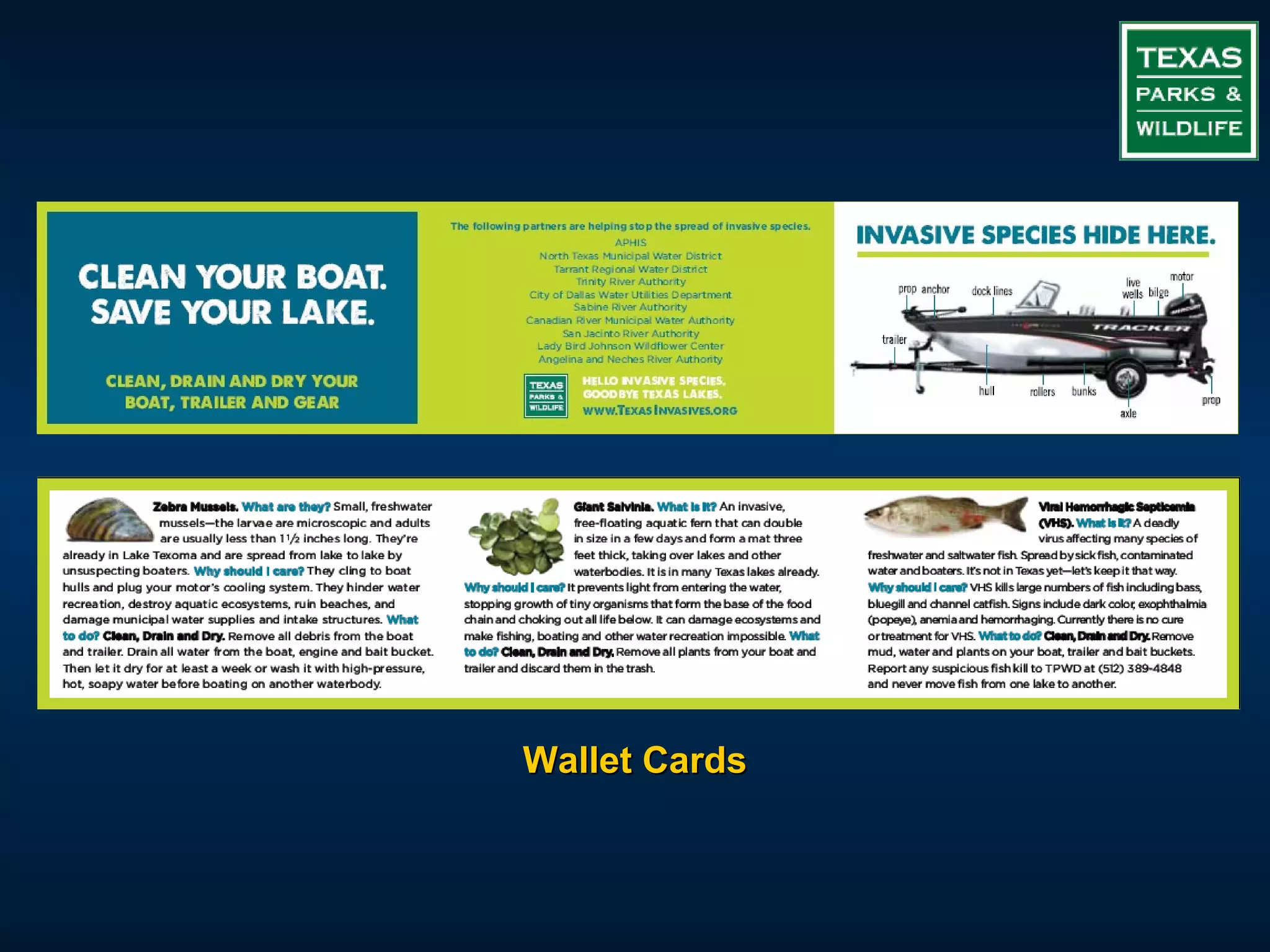 Wallet Cards
 