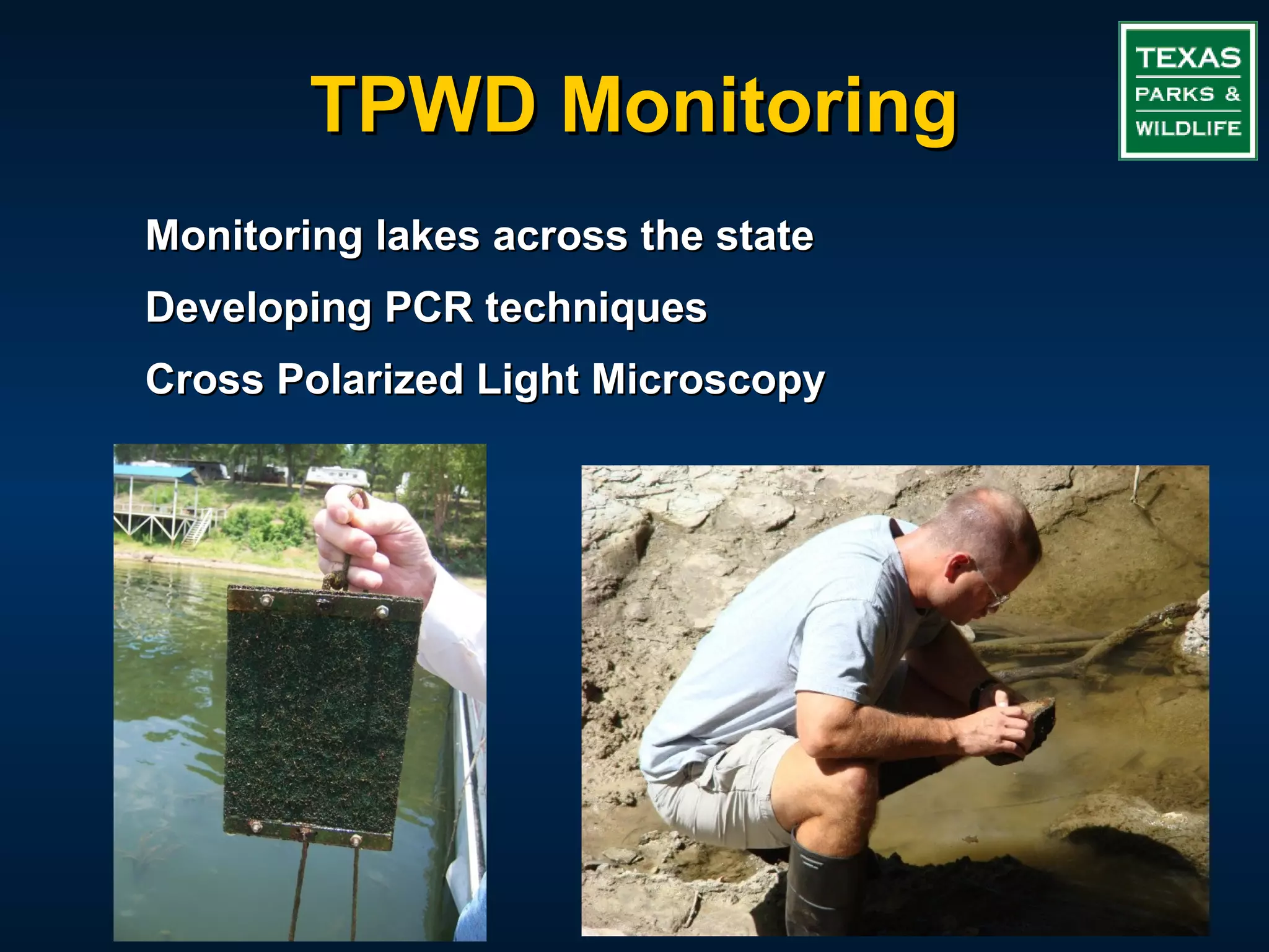 TPWD Monitoring
Monitoring lakes across the state
Developing PCR techniques
Cross Polarized Light Microscopy
 