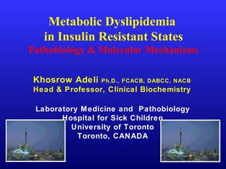 Metabolic Dyslipidemia
in Insulin Resistant States
Pathobiology & Molecular Mechanisms
Khosrow Adeli Ph.D., FCACB, DABCC, NACB
Head & Professor, Clinical Biochemistry
Laboratory Medicine and Pathobiology
Hospital for Sick Children
University of Toronto
Toronto, CANADA
 