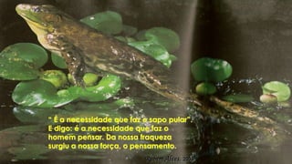 “ É a necessidade que faz o sapo pular”. 
E digo: é a necessidade que faz o 
homem pensar. Da nossa fraqueza 
surgiu a nossa força, o pensamento. 
Rubem Alves, 2003 
 