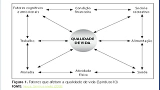 FONTE: Noce, Simim e Mello (2008) 
 