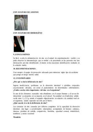 CON SULFURO DE AMONIO
CON SULFURO DE HIDROGÉNO
9. CONCLUSIÓNES
Se llevó a cabo la administración de zinc en el animal de experimentación (pollo) y se
pudo observar la sintomatología que es similar a la presentada en las personas tras una
intoxicación por zinc identificando el mismo en las reacciones identificación realizada en
la solución madre.
10. RECOMENDACIONES
Usar siempre el equipo de protección adecuado para minimizar algún tipo de accidente
que ponga en riesgo nuestra salud.
12. CUESTIONARIO
¿Por qué se da la deficiencia de zinc?
Ingesta insuficiencia, problemas en la absorción intestinal o pérdidas corporales
excesivamente elevadas, así como el padecimiento de determinadas enfermedades.
¿Cuáles son los roles importantes del zinc en el organismo?
Es uno de los elementos esenciales más abundantes en el cuerpo humano y al ser un ión
intracelular se encuentra en su mayoría en el citosol. Su cantidad en el individuo adulto
oscila entre 1 y 2,5 g, siendo el segundo oligoelemento en relación a la cantidad total en
el organismo, siendo superado tan sólo por el hierro
¿Qué sucede si se da la deficiencia de zinc?
Las carencias de zinc causadas por defectos congénitos de la capacidad de absorción
intestinal, dan lugar a acrodermatitis enteropática acompañada de lesiones cutáneas,
diarreas, pérdidas de cabello, conjuntivitis, fotofobia, opacidad corneal, irritabilidad,
temblores y ataxia ocasional
Mandela:
 