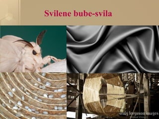 Svilene bube-svila
 
