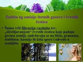  Šuma vrši filtraciju vazduha tzv.
„iščešljavanjem“ čvrstih čestica koje padaju
prema zemlji, zadržavaju se na lišću, granama,
stablima; kasnije ih kiša spere i odvede u
zemljište
Zaštita og emisije štetnih gasova i čvrstih
čestica
 