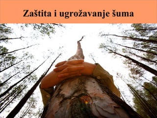 Zaštita i ugrožavanje šuma
 