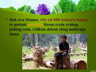 
Dok ovo čitamo, više od 600 hektara kopna
će postati pustinja širom sveta svakog
jednog sata, velikim delom zbog uništenja
šuma
 
