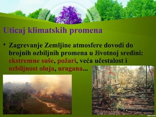 Uticaj klimatskih promena

Zagrevanje Zemljine atmosfere dovodi do
brojnih ozbiljnih promena u životnoj sredini:
ekstremne suše, požari, veća učestalost i
ozbiljnost oluja, uragana...
 