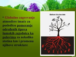 
Globalno zagrevanje
atmosfere imaće za
posledicu pomeranje
određenih tipova
šumskih zajednica ka
polovima za nekoliko
stotina km i promenu
njihove strukture
 
