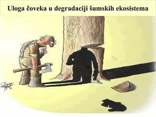 Uloga čoveka u degradaciji šumskih ekosistema
 