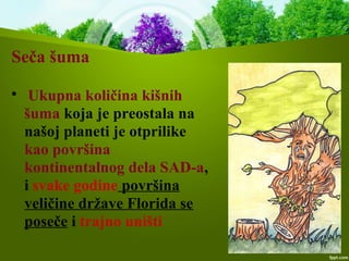 Seča šuma

Ukupna količina kišnih
šuma koja je preostala na
našoj planeti je otprilike
kao površina
kontinentalnog dela SAD-a,
i svake godine površina
veličine države Florida se
poseče i trajno uništi
 