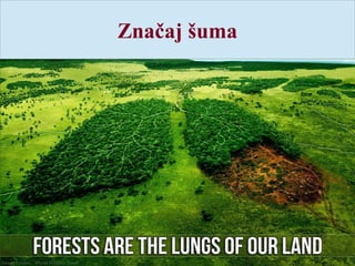 Značaj šuma
 
