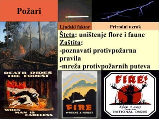 Požari
Ljudski faktor Prirodni uzrok
Šteta: uništenje flore i faune
Zaštita:
-poznavati protivpožarna
pravila
-mreža protivpožarnih puteva
 