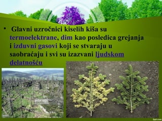 
Glavni uzročnici kiselih kiša su
termoelektrane, dim kao posledica grejanja
i izduvni gasovi koji se stvaraju u
saobraćaju i svi su izazvani ljudskom
delatnošću
 