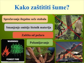 Kako zaštititi šume?
Sprečavanje ilegalne seče stabala
Zaštita od požara
Smanjenje emisije štetnih materija
Pošumljavanje
 