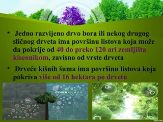 
Jedno razvijeno drvo bora ili nekog drugog
sličnog drveta ima površinu listova koja može
da pokrije od 40 do preko 120 ari zemljišta
kiseonikom, zavisno od vrste drveta

Drveće kišnih šuma ima površinu listova koja
pokriva više od 16 hektara po drvetu
 