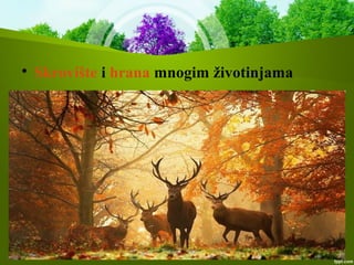 
Skrovište i hrana mnogim životinjama
 