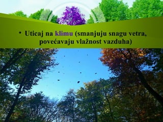 
Uticaj na klimu (smanjuju snagu vetra,
povećavaju vlažnost vazduha)
 