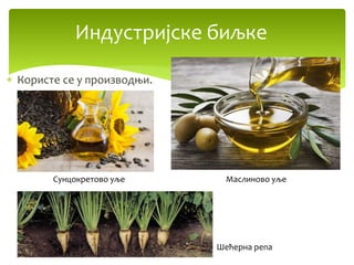 Znacaj biljaka za coveka | PPT