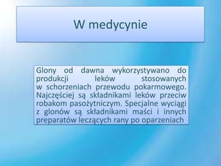 W medycynie


Glony od dawna wykorzystywano do
produkcji       leków        stosowanych
w schorzeniach przewodu pokarmowego.
Najczęściej są składnikami leków przeciw
robakom pasożytniczym. Specjalne wyciągi
z glonów są składnikami maści i innych
preparatów leczących rany po oparzeniach
                                       .
 
