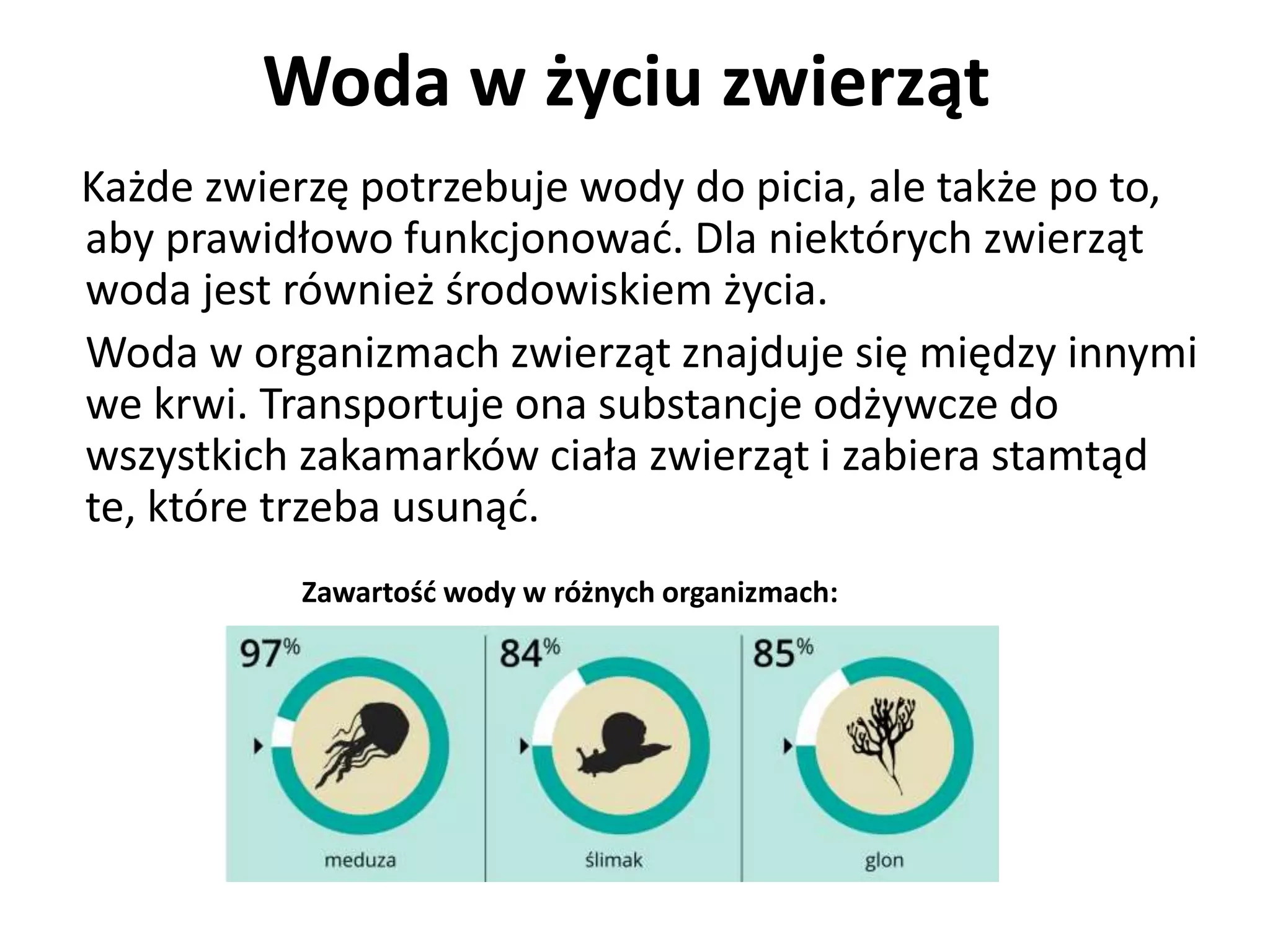 Znaczenie Wody W Przyrodzie PPT znaczenie-wody-w-przyrodzie-ppt