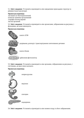 51. Зміст завдання: Установіть відповідність між наведеними прикладами структур та
рівнями їхньої організації.
Правильна відповідь:
листяний ліс біогеоценотичний
конвалія травнева організмовий
хлорофіл молекулярний
листок органний
52. Зміст завдання: Установіть відповідність між органелами, зображеними на рисунках, і
функціями, які вони виконують.
Правильна відповідь:
синтез АТФ
дозрівання, розподіл і транспортування синтезованих речовин
синтез білків
здійснення фотосинтезу
53. Зміст завдання: Установіть відповідність між органами, зображеними на рисунках, і
системами, до яких вони належать.
Правильна відповідь:
опорно-рухова
видільна
сенсорна
ендокринна
54. Зміст завдання: Установіть відповідність між назвою плоду та його зображенням.
 