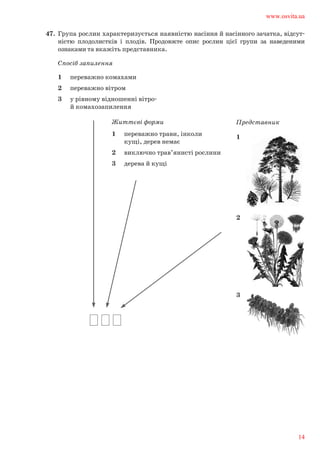 47.	 Група рослин характеризується наявністю насіння й насінного зачатка, відсут-	
ністю плодолистків і плодів. Продовжте опис рослин цієї групи за наведеними	
ознаками та вкажіть представника.	
1	 переважно комахами
2	 переважно вітром
3	 у рівному відношенні вітро-	
й комахозапилення
Спосіб запилення
Життєві форми Представник
1	 переважно трави, інколи 	
кущі, дерев немає
2	 виключно трав’янисті рослини
3	 дерева й кущі
1	
2	
3	
www.osvita.ua
14
 