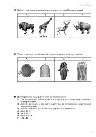 22.	 Виберіть представника ссавців, що належить до ряду Непарнокопитні.	
А Б В Г
23.	 Укажіть частину організму людини, що є похідною епідермісу шкіри.	
А Б В Г
			
24.	 Які твердження щодо роботи м’язів є правильними?	
І.	 Під час статичної роботи м’язи перебувають у постійному напруженні, але
		 не скорочуються.	
ІІ.	 Динамічна робота м’язів супроводжується їх почерговими скороченнями
		 й розслабленнями.	
ІІІ.	Динамічна робота більш утомлива порівняно зі статичною. 	
А	 лише І й ІІ	
Б	 лише І й ІІІ	
В	 лише ІІ й ІІІ	
Г	 І, ІІ й ІІІ
www.osvita.ua
7
 