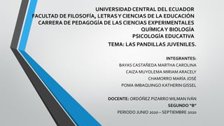 UNIVERSIDAD CENTRAL DEL ECUADOR
FACULTAD DE FILOSOFÍA, LETRASY CIENCIAS DE LA EDUCACIÓN
CARRERA DE PEDAGOGÍA DE LAS CIENCIAS EXPERIMENTALES
QUÍMICAY BIOLOGÍA
PSICOLOGÍA EDUCATIVA
TEMA: LAS PANDILLAS JUVENILES.
INTEGRANTES:
BAYAS CASTAÑEDA MARTHA CAROLINA
CAIZA MUYOLEMA MIRIAM ARACELY
CHAMORRO MARÍA JOSÉ
POMA IMBAQUINGO KATHERIN GISSEL
DOCENTE: ORDÓÑEZ PIZARROWILMAN IVÁN
SEGUNDO “B”
PERIODO JUNIO 2020 – SEPTIEMBRE 2020
 