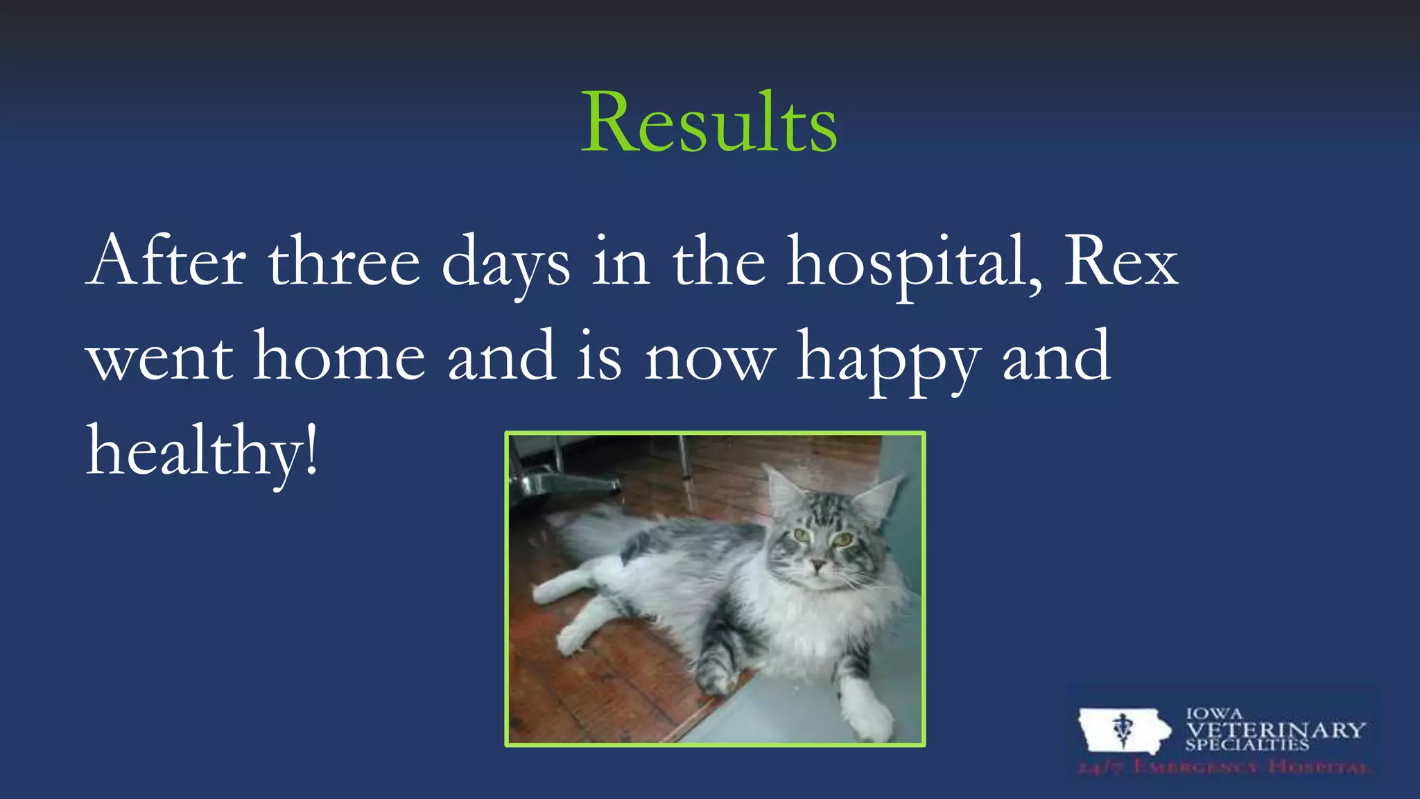 Picture of Feline Urethral Obstruction | PPTX