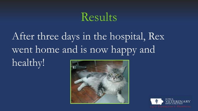 View of Feline Urethral Obstruction | PPT