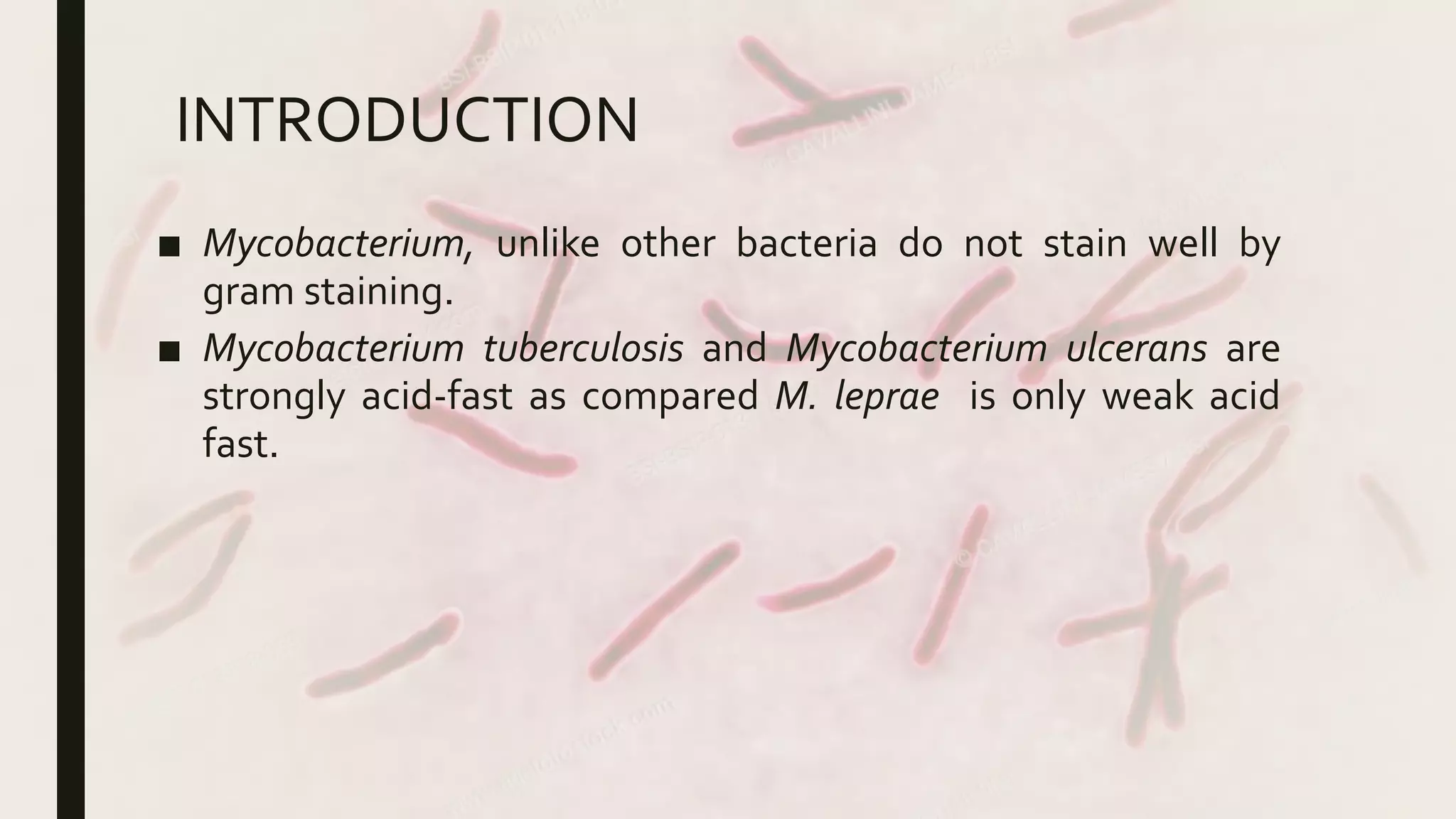 ZN staining | PPT