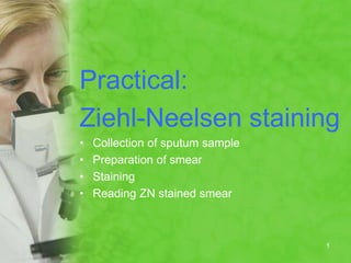Practical:
Ziehl-Neelsen staining
• Collection of sputum sample
• Preparation of smear
• Staining
• Reading ZN stained smear
1
 