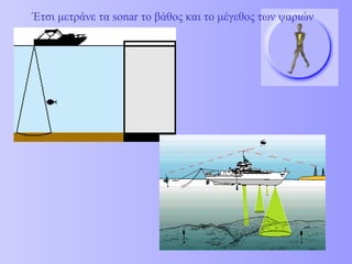 Έτσι μετράνε τα sonar το βάθος και το μέγεθος των ψαριών 
 