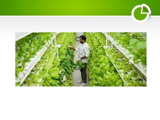 PANKIL_Kmsc fianl presentation AMBOJ_Aeroponics.pptx