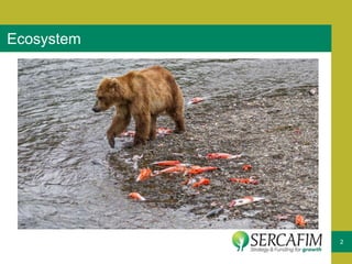 2
Ecosystem
 