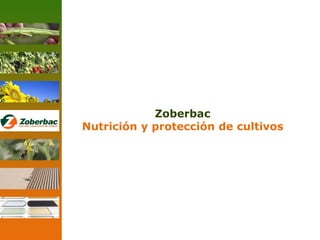 Zoberbac
Nutrición y protección de cultivos
 