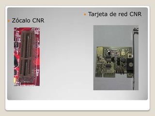 Tarjeta de red CNRZócalo CNR									