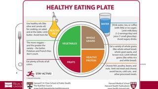 Google attēli meklējumam “food pyramid”
 