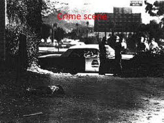 Picture of fare book in blood
            puddle
 