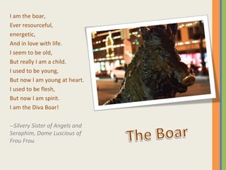 I am the boar, Ever resourceful, energetic, And in love with life. I seem to be old, But really I am a child. I used to be young, But now I am young at heart. I used to be flesh, But now I am spirit. I am the Diva Boar! --Silvery Sister of Angels and Seraphim, Dame Luscious of Frou Frou 