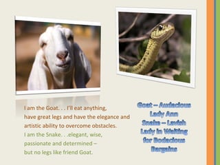 I am the Goat. . . I’ll eat anything, have great legs and have the elegance and  artistic ability to overcome obstacles. I am the Snake. . .elegant, wise,  passionate and determined – but no legs like friend Goat. 