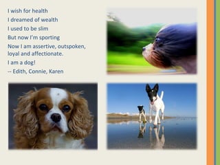 I wish for health I dreamed of wealth I used to be slim But now I’m sporting Now I am assertive, outspoken, loyal and affectionate. I am a dog! -- Edith, Connie, Karen 