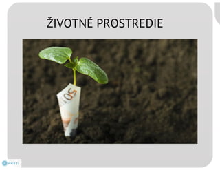 Zodpovednepodnikanie2